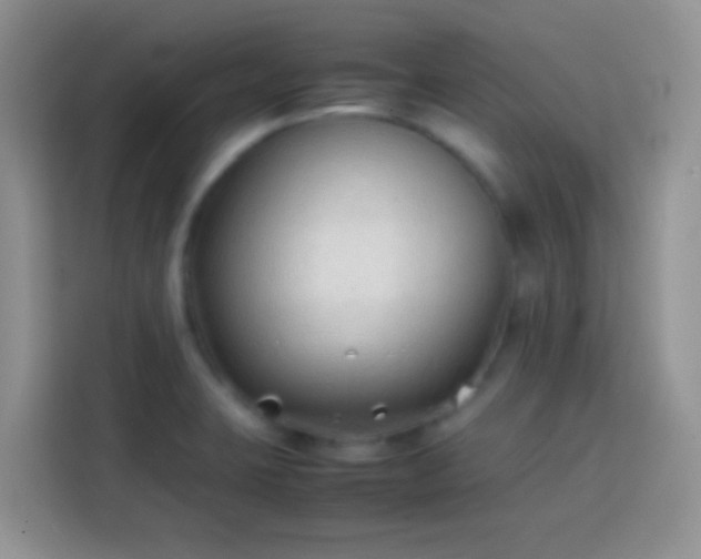 X0000113871423200910011103