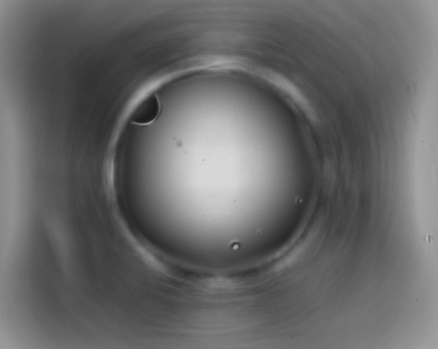 X0000113871424200910011103