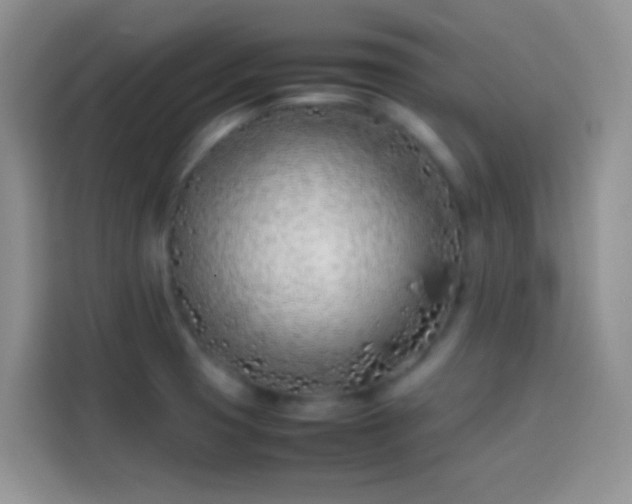 X0000113871425200910011103