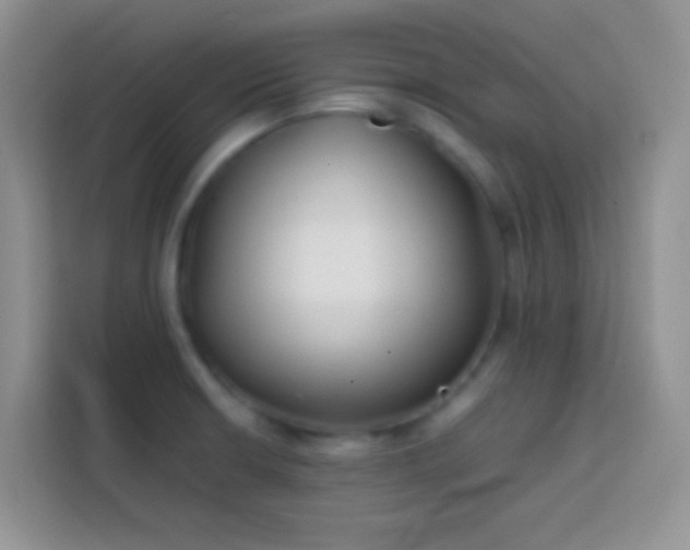 X0000113871426200910011103