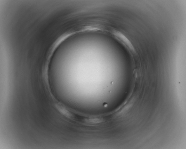 X0000113871427200910011103