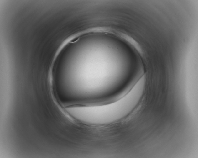 X0000113871428200910011103