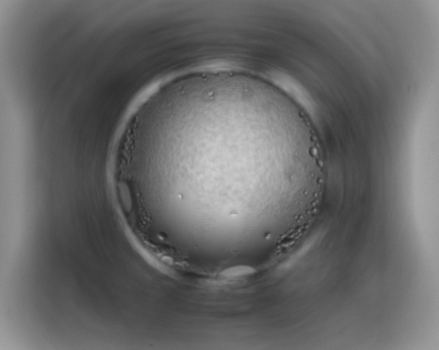 X0000113871429200910011103