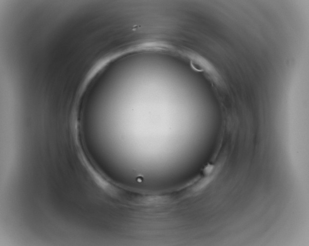 X0000113871430200910011103