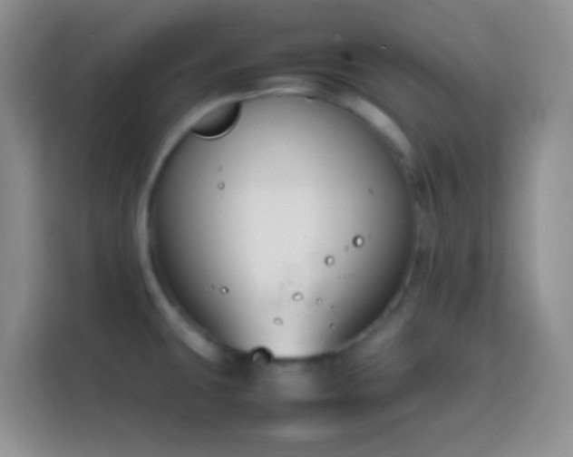 X0000113871431200910011103