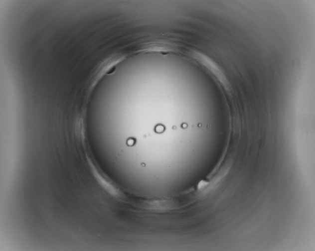 X0000113871433200910011103