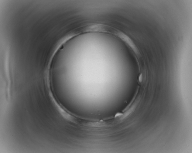 X0000113871434200910011103