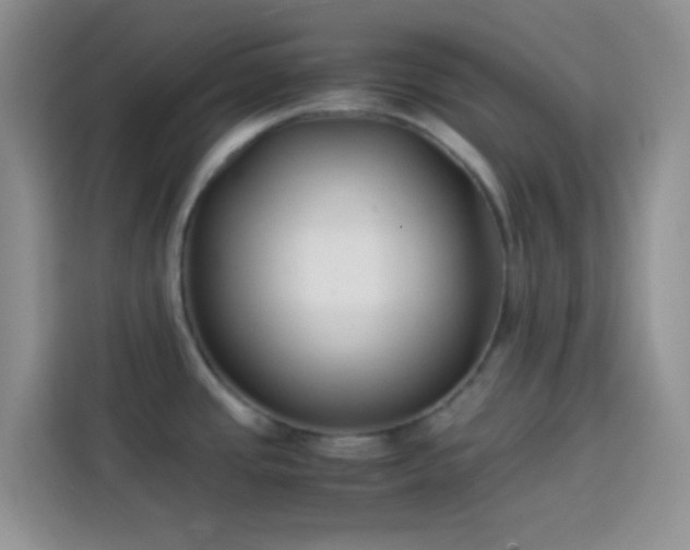 X0000113871437200910011103