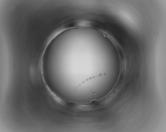 X0000113871439200910011103