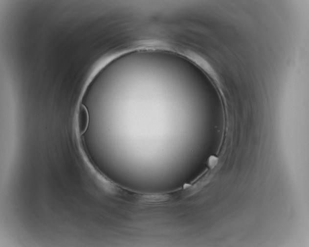 X0000113871440200910011103