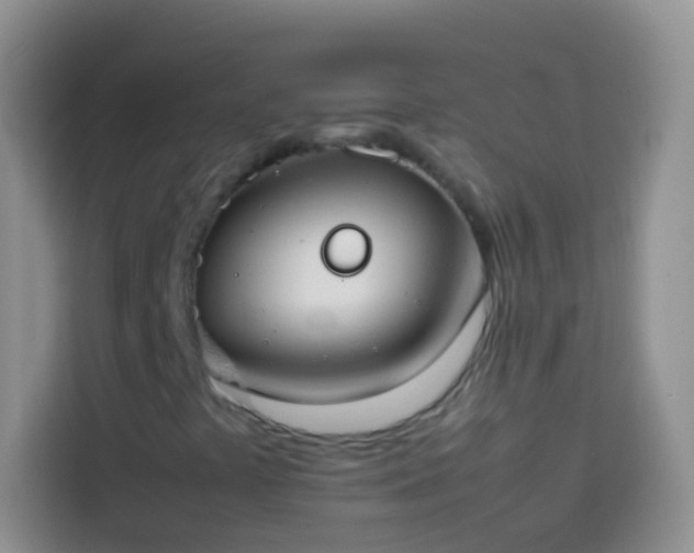 X0000113871441200910011103