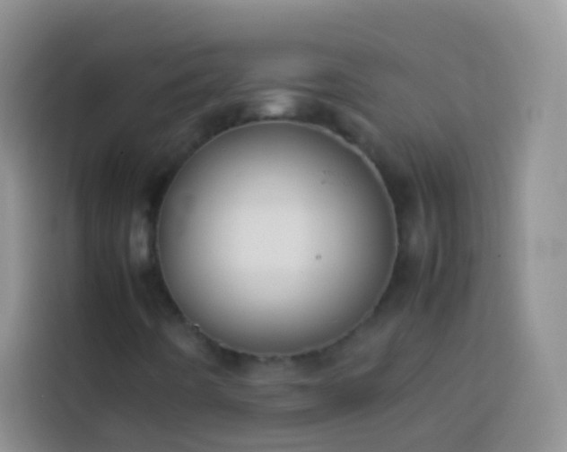 X0000113871442200910011103