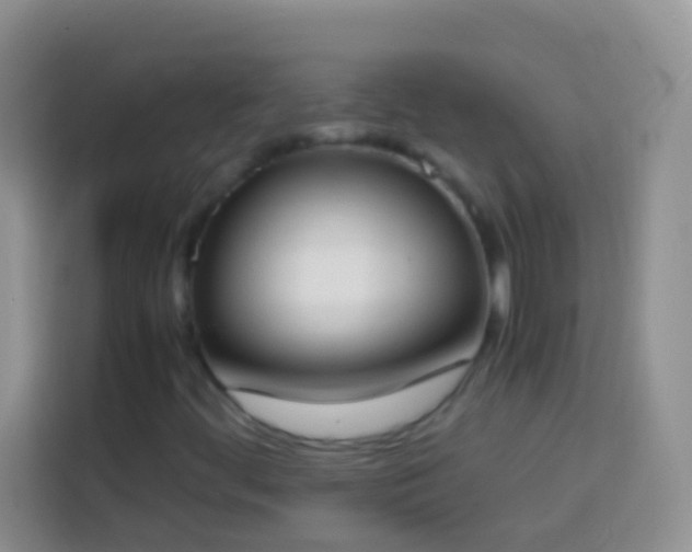 X0000113871444200910011103