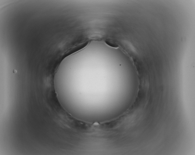 X0000113871445200910011103