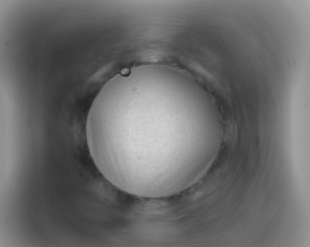 X0000113871446200910011103