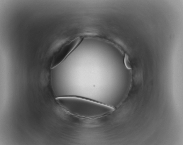 X0000113871448200910011103