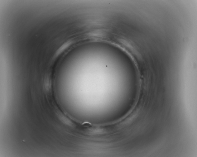 X0000113871450200910011103