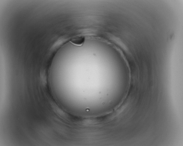 X0000113871451200910011103