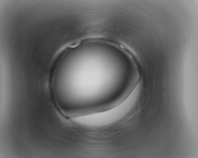 X0000113871452200910011103