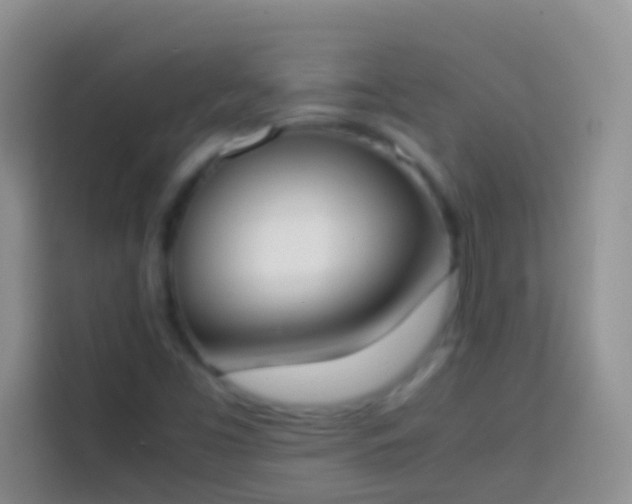 X0000113871453200910011103