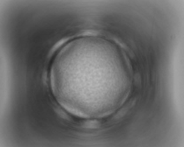 X0000113871454200910011103