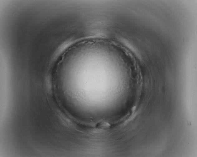 X0000113871455200910011103