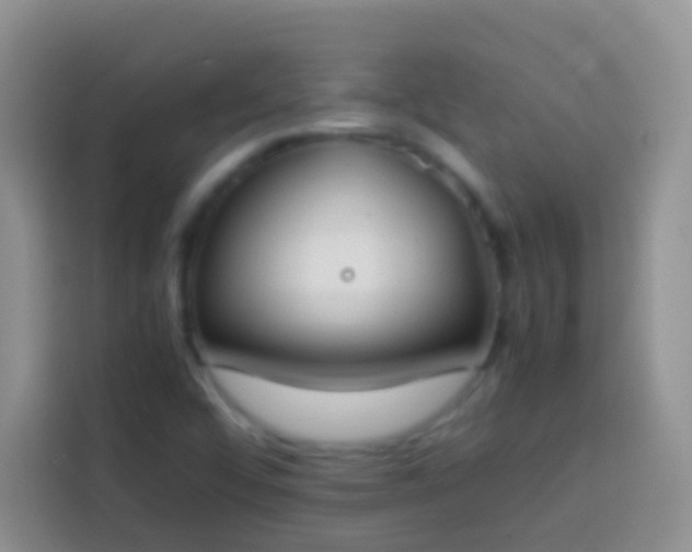 X0000113871456200910011103