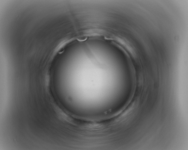 X0000113871459200910011103