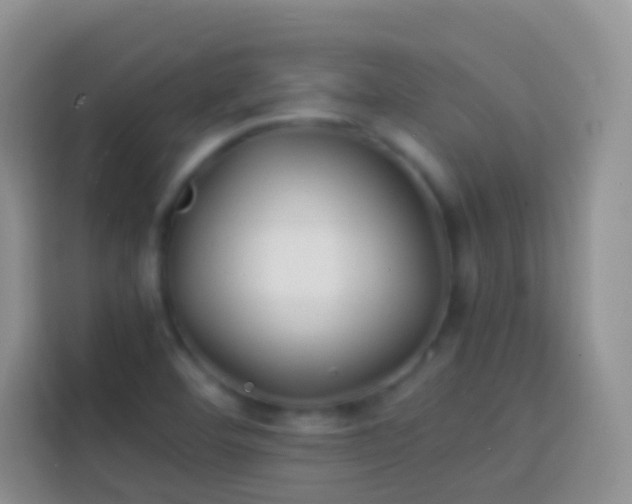 X0000113871460200910011102