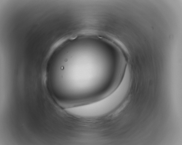 X0000113871461200910011102