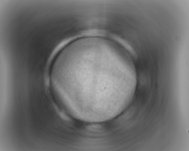 X0000113871462200910011102