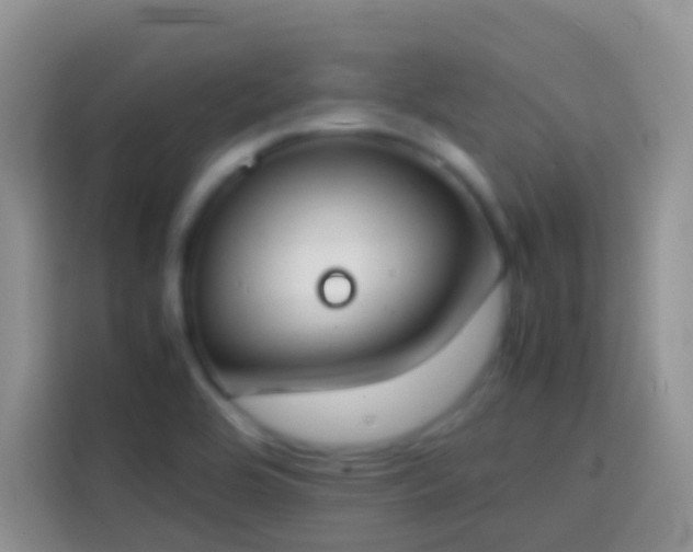 X0000113871464200910011102