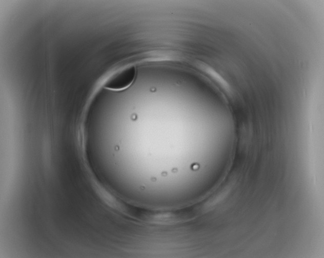 X0000113871467200910011102