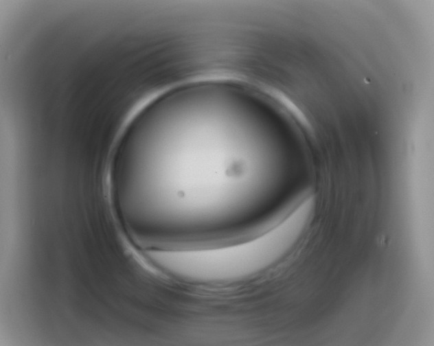 X0000113871468200910011102