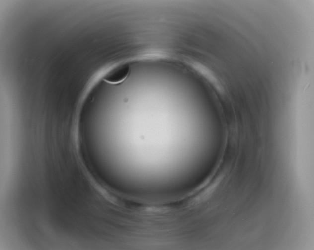 X0000113871469200910011102