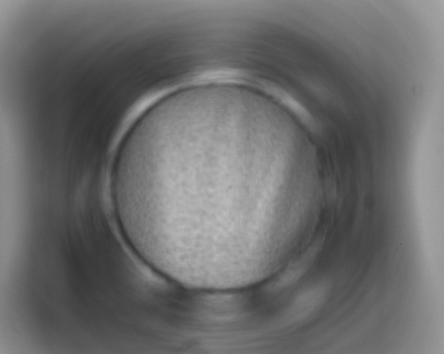 X0000113871470200910011102