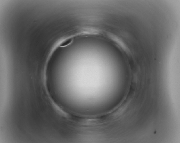 X0000113871471200910011102