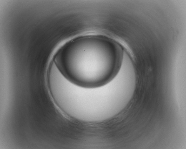 X0000113871472200910011102