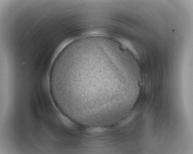 X0000113871474200910011102