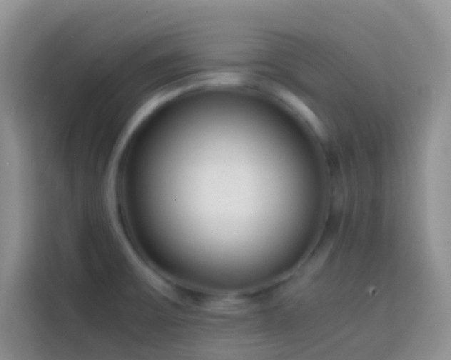 X0000113871475200910011102