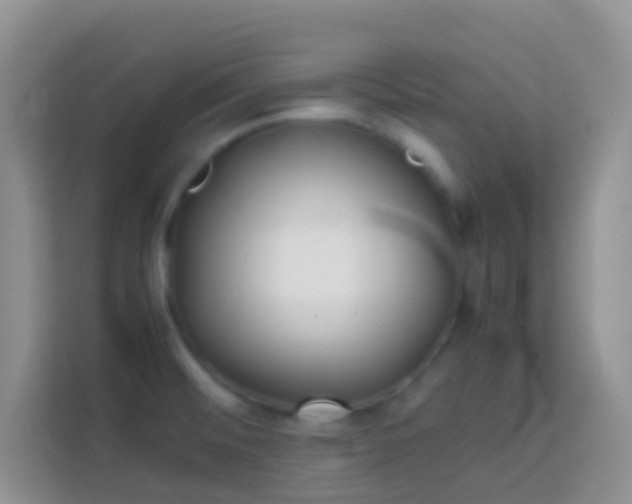 X0000113871476200910011102