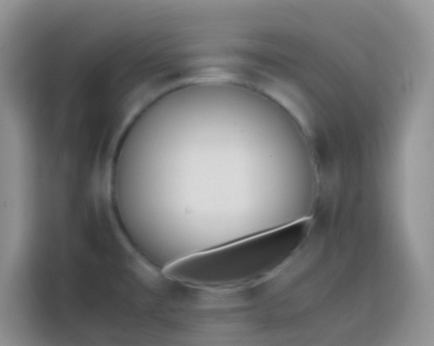 X0000113871477200910011102