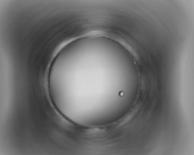 X0000113871478200910011102