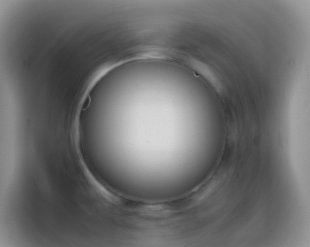 X0000113871479200910011102