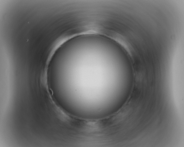 X0000113871480200910011102