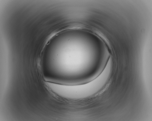 X0000113871481200910011102