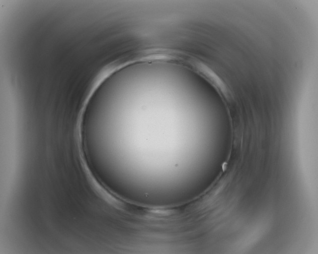 X0000113871483200910011102