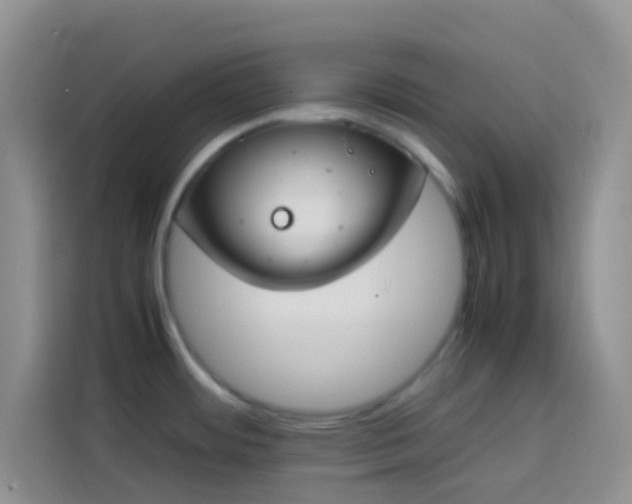 X0000113871484200910011102