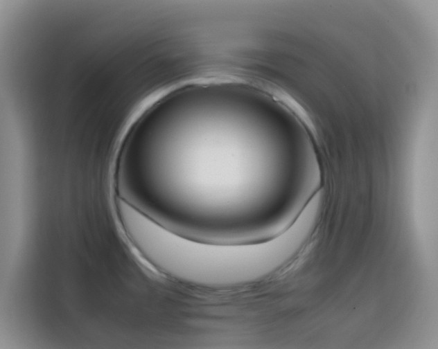 X0000113871485200910011102