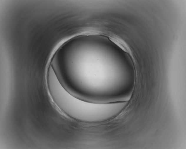 X0000113871488200910011102